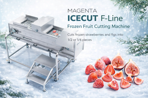 ICECUT F-Line Donuk Meyve Kesme Makinesi